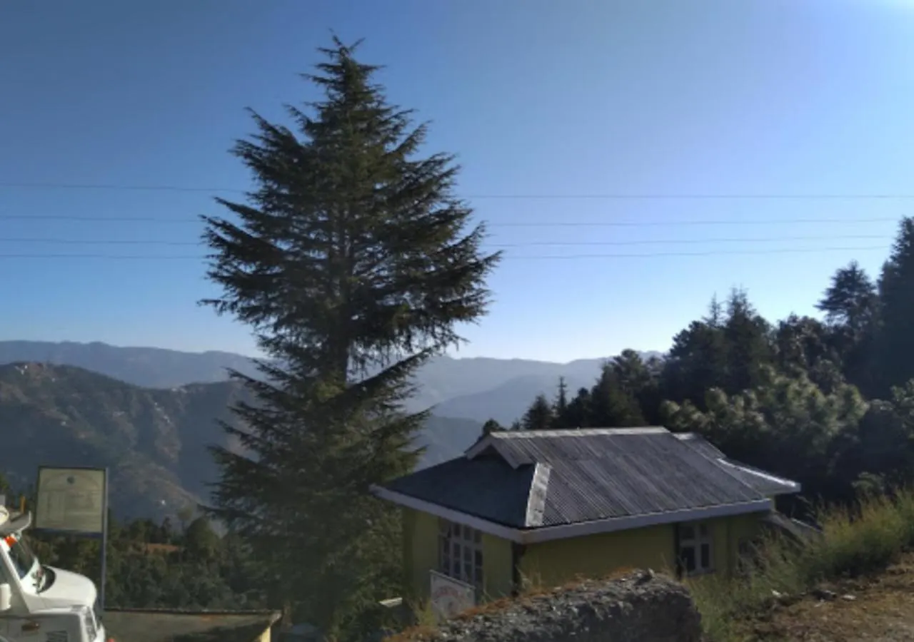 酒店 西姆拉 The Alpine Retreat酒店